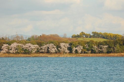 愛知池風景１