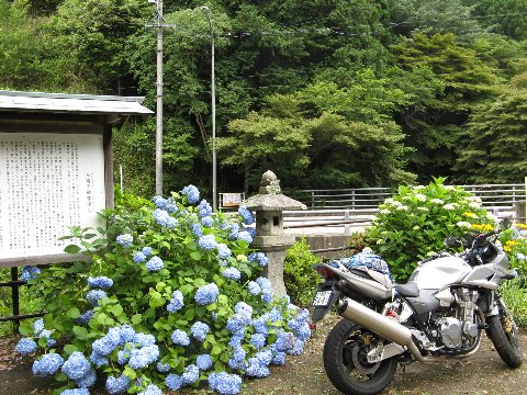 くらがり渓谷
