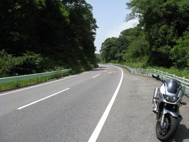 猿投グリーン道路