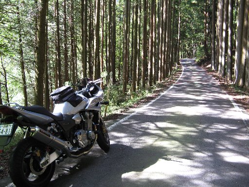 県道81号