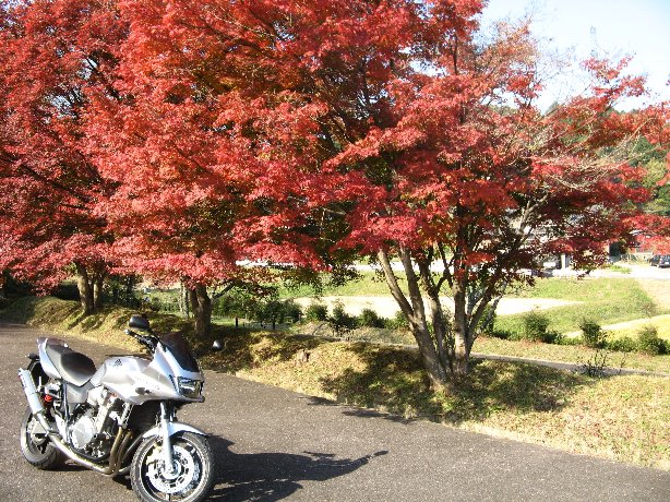 王滝渓谷の駐車場