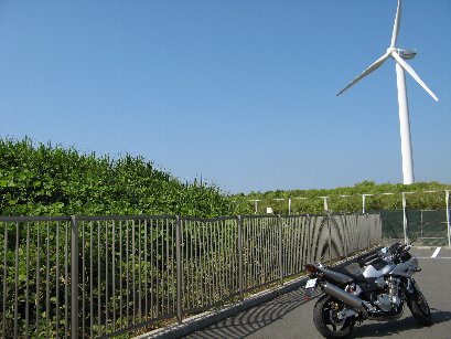 安部川河口