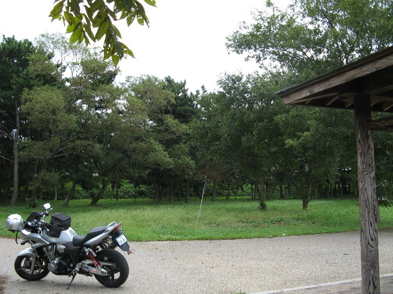 琵琶湖畔公園