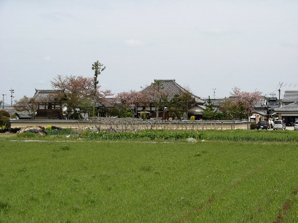 飛鳥寺遠景