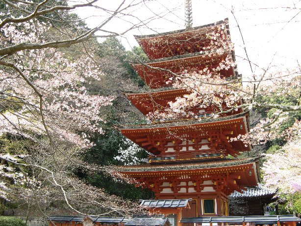 長谷寺五重塔