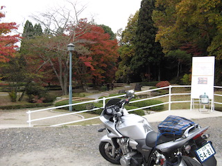 瑞浪_曽木公園