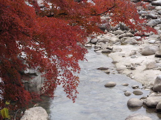 上村川