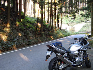 県道37号線