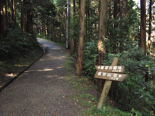 散策道路