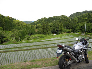 棚田