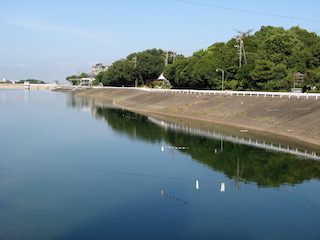 池面に映る景色