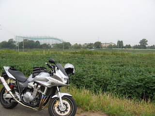 豊田市高岡