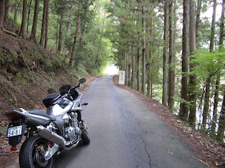 県道20号線