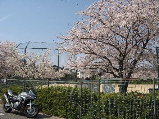 西川公園