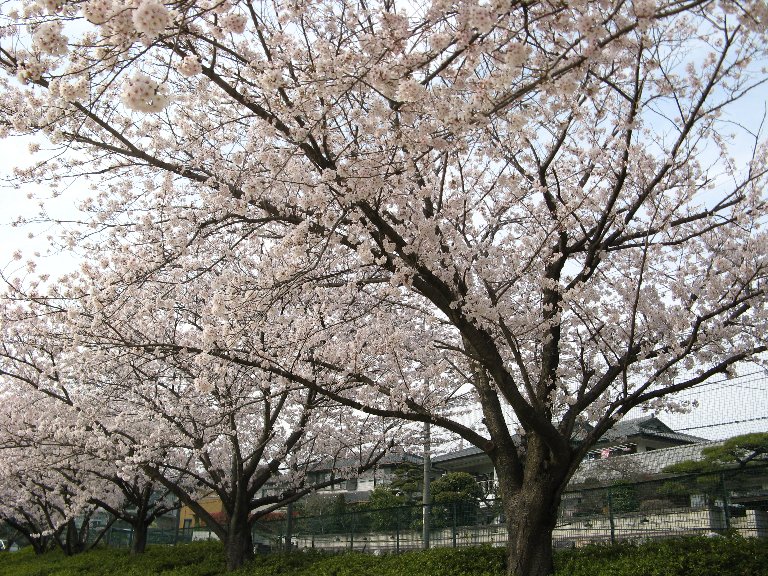 西川公園