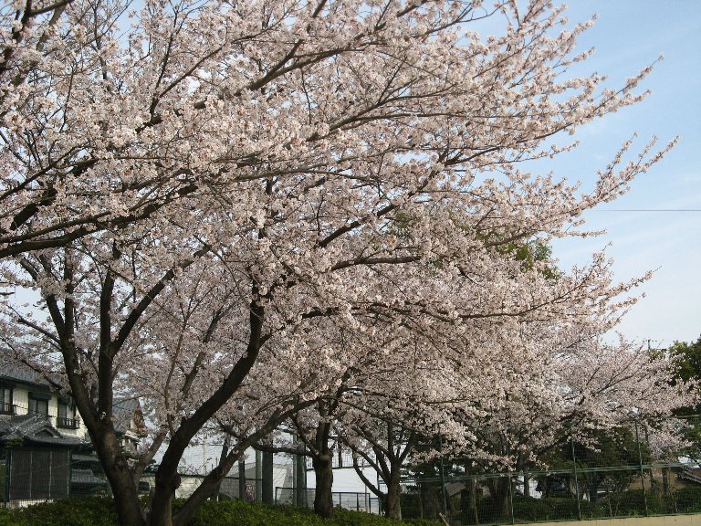 西川公園