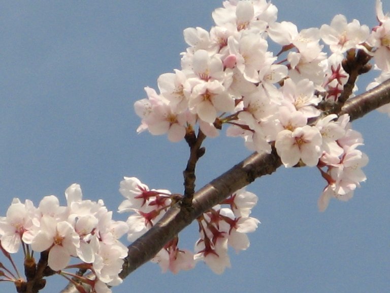 西川公園