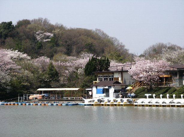 大高緑地公園