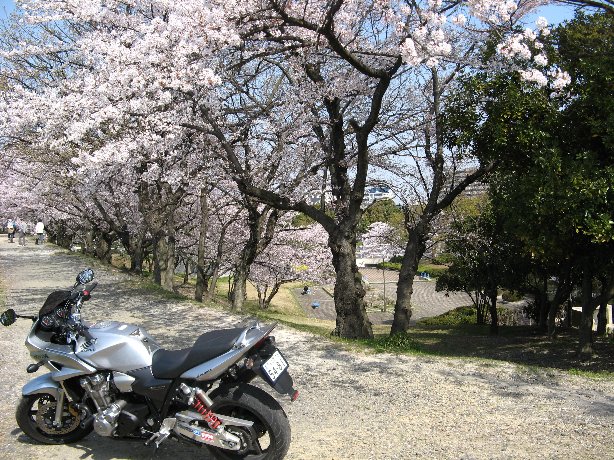 大高緑地公園