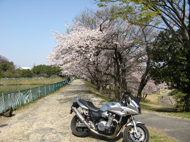 大高緑地公園