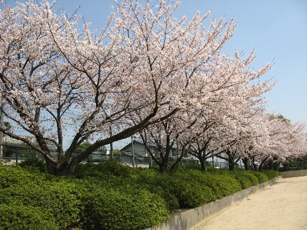 西川公園
