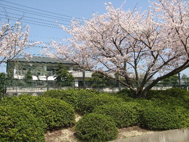 西川公園から自宅を