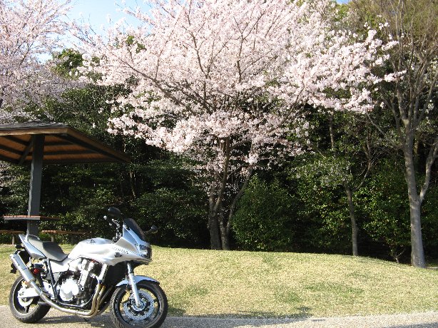 みどり公園
