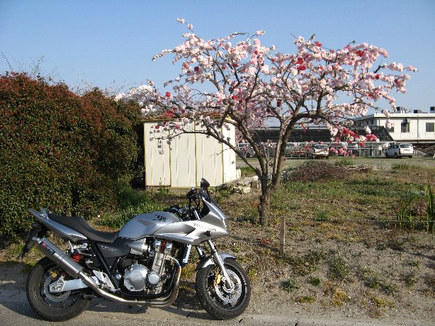 曹源寺
