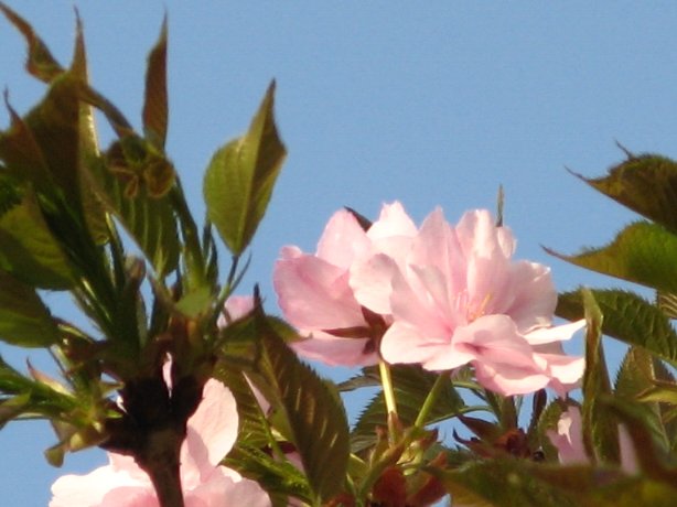 豊明インター