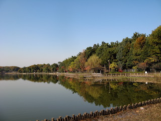 洲原池