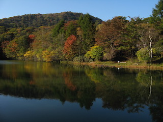 山頂の池