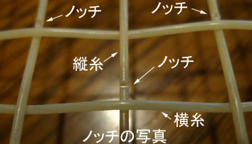 ノッチの写真