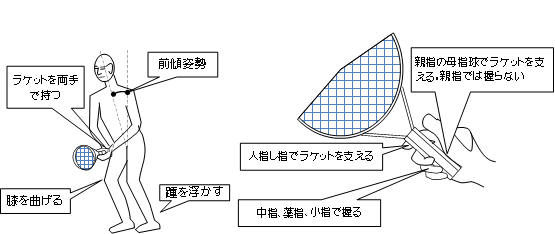 レディポジション