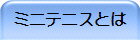 ミニテニスとは